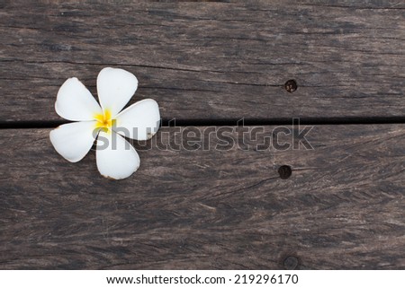 Tropical flowers frangipani on wood (white and yellow Plumeria )