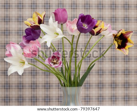 colorful bouquet of tulips in a vase on a background wall of the cell