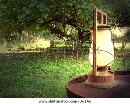 oil lantern sitting on drum under mulberry tree