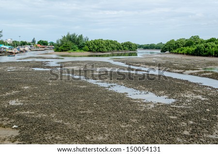 Landscape of mud flat, Thailand.
