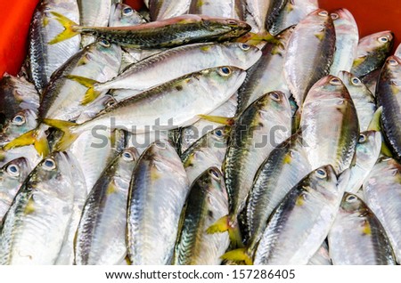Fresh fish on ice at fresh market, Thailand