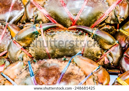 Fresh crab at the seafood market, Thailand