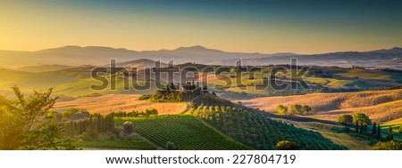 Scenic Tuscany landscape panorama with rolling hills and harvest fields in golden morning light, Val d\'Orcia, Italy