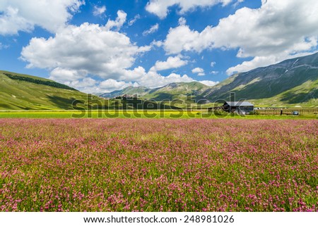 Beautiful summer landscape at Piano Grande (Great Plain) mountain plateau in the Apennine Mountains, Castelluccio di Norcia, Umbria, Italy
