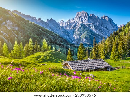 Idyllic landscape in the Alps in springtime with traditional mountain chalet and fresh green mountain pastures with blooming flowers in beautiful evening light at sunset