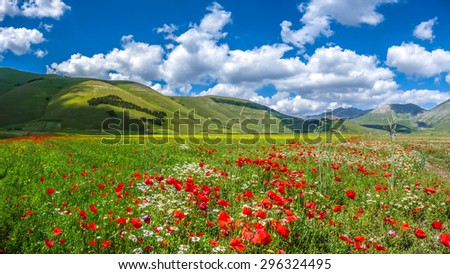 Panoramic view of beautiful summer landscape at Piano Grande (Great Plain) mountain plateau in the Apennine Mountains, Castelluccio di Norcia, Umbria, Italy