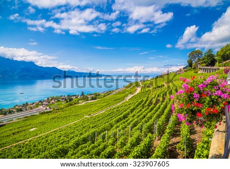 Beautiful scenery with rows of vineyard terraces in famous Lavaux wine region, UNESCO World Heritage Site since 2007, overlooking the northern shores of Lake Geneva, Canton of Vaud, Switzerland