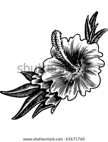 hibiscus flower clip art free. stock vector : Hibiscus Flower
