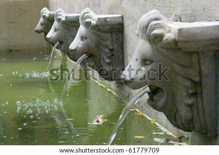 water flow from statue head of lion in the garden