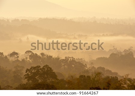 misty forest in the morning at Nam Nao national park Phetchabun province Thailand