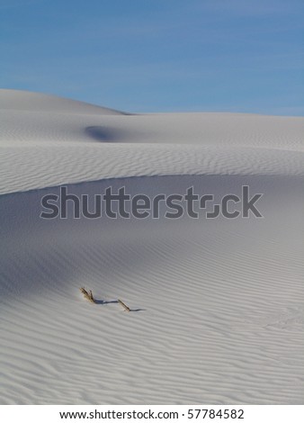Gone with the wind: branch engulfed by sand dune, like a wave frozen in time - White Sands National Monument, New Mexico, USA