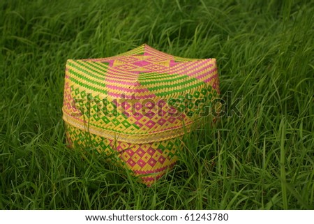 Coloured Basket