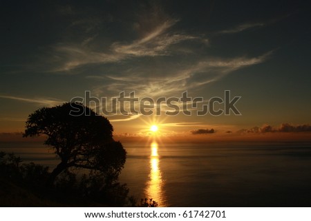 Sun rise with tree