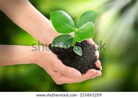 Hands holding plant ecology concept