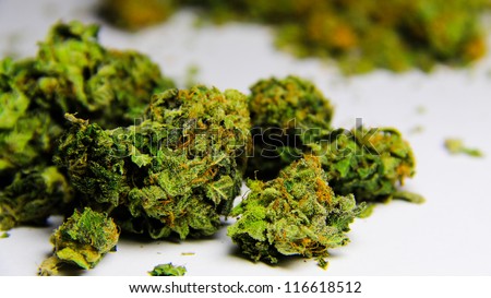 Cannabis 2. High grade purple kush marijuana against a white background.