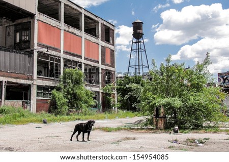 Detroit, Michigan - Nov 21: Abandoned Packard Factory Ruins On A Sunny Afternoon On November 21, 2012. Abandoned In 1958, The Buildings Still Stand In A Decayed State Of Beauty.