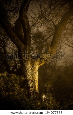 Haunted Forest Tree. An ominous looking old tree in a dark forest at night. Shot in long exposure with wind blown leaves and bushes surrounding it.