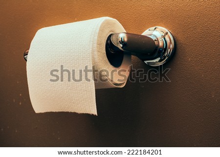 Toilet Paper Roll on Wall 3. Toilet paper roll on wall of rustic looking bathroom.