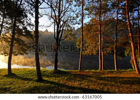 Sun rise at Pang-ung, Pine forest in Thailand.