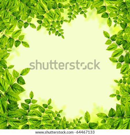 fresh Green leaves isolated on green background