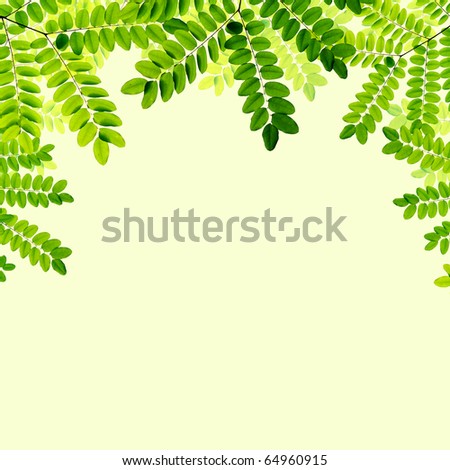 fresh Green leaves isolated on green background
