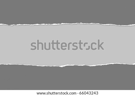 Torn gray Paper with space for text on gray background