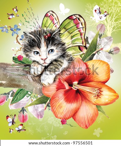 Butterfly Kitten