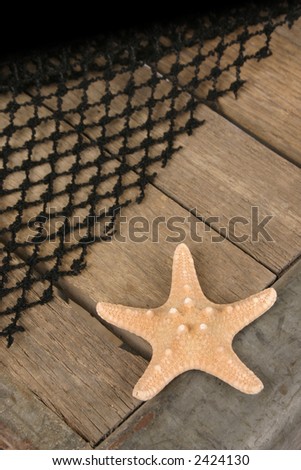 Nautical themed image of star fish and black net on wood and steel surface.