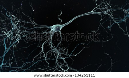 Neuron space, concept of neurons and nervous system