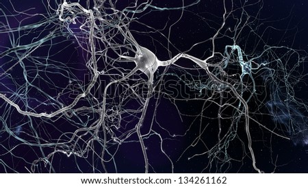 Neuron cells network, concept of neurons and nervous system