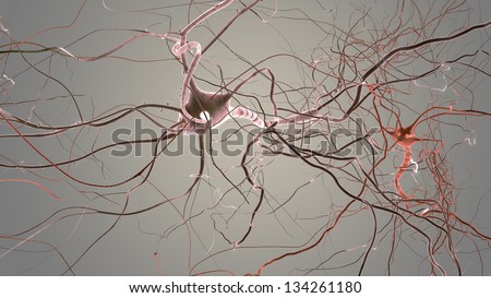 Neuron cells network, visualisation of neurons and nervous system