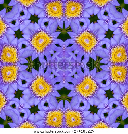 kaleidoscope pattern with pretty blue lotus flower