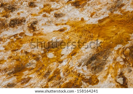 Colorful bacteria mat surrounding Grand Prismatic Spring, Midway Geyser Basin, Yellowstone National Park, Wyoming