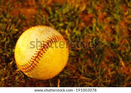 Baseball laying on ground in warm afternoon light