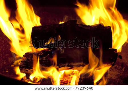 Roaring fire in a fire pit, campfire