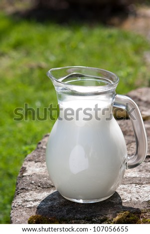 Jug of milk outdoors in a sunny day. Green grass on background