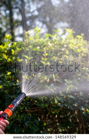 Water spraying from a garden hose