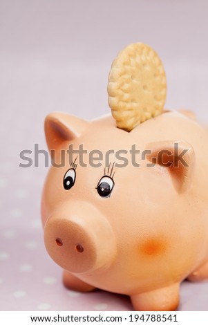 Piggy bank with round cookie on its back over pink background