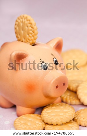 Piggy bank with round cookies on pink background