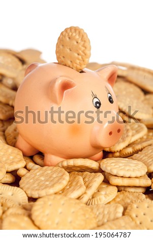 Piggy bank with round cookie on its back on the pile of crackers