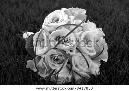 black and white photography roses. stock photo : Black and White