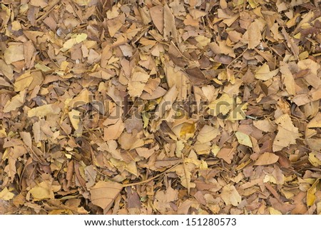 Broken Leaf Mulch Non sharpen