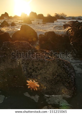 Sunset on the west coast of New Zealand