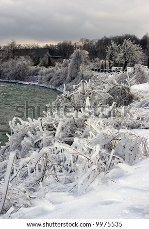 A winter wonderland after an ice storm.