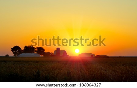Brilliant orange sunrise over a Corn field in Iowa, and barn with a bright yellow sun on a cool fall morning.