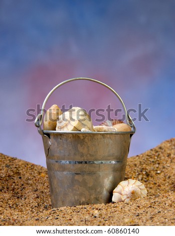 Sea shells in a metal bucket sitting in the sand on the beach