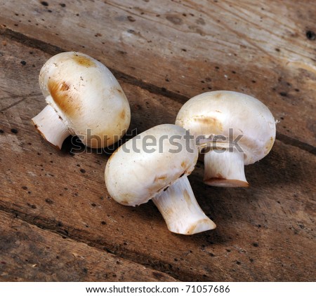 Portobello mushroom on a old vintage table top, Agaricus bisporus
