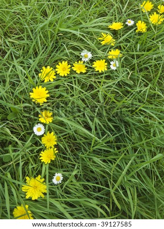 Winding daisy chain in the green grass with clover leaves