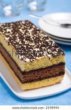 Italian sponge cake with chocolate filling on a white platter