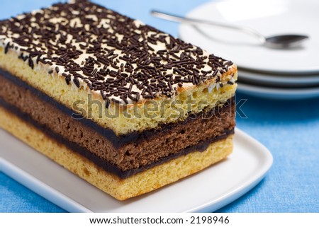 Italian sponge cake with chocolate filling on a white platter